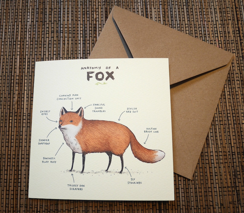 Anatomy Of A Fox Card zdjęcie 4