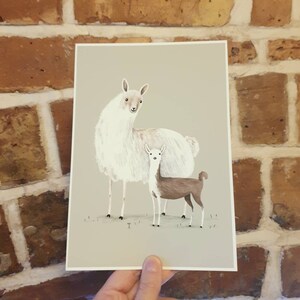 Llama Mama Signed Fine Art Print