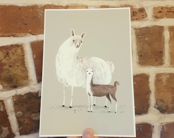 Llama Mama Signed Fine Art Print