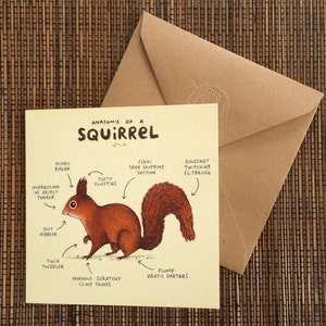 Anatomy Of A Squirrel Card image 4