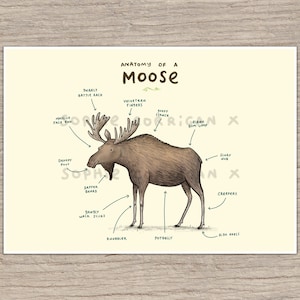 Anatomy of a Moose Signed Art Print