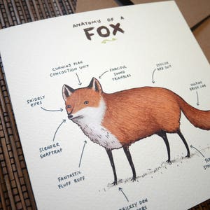 Anatomy Of A Fox Card zdjęcie 5