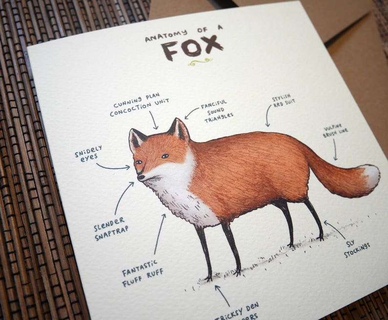 Anatomy Of A Fox Card zdjęcie 5