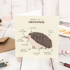 Carte Anatomie d'un hérisson