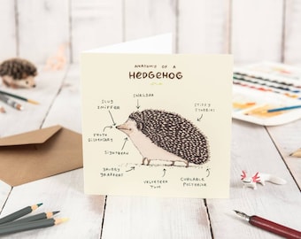 Anatomy Of A Hedgehog Card