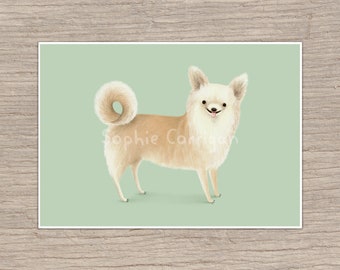 Longhair Chihuahua Portrait Signed Art Print