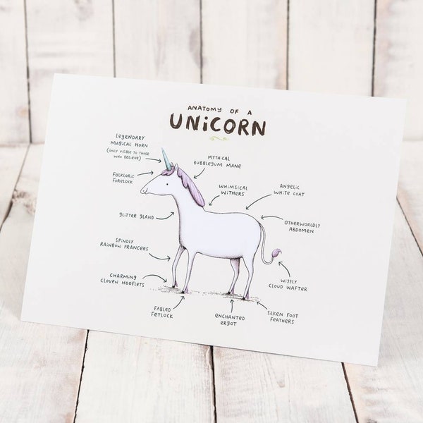 Anatomy Of A Unicorn A4 Signed Print