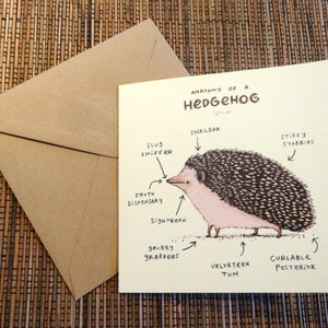 Anatomy of A Hedgehog Card - Etsy