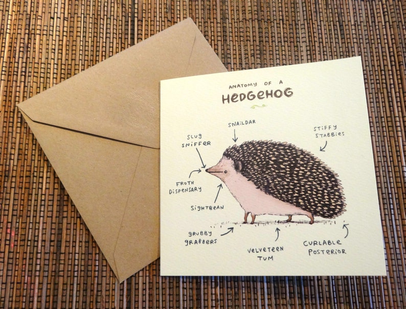Anatomie eines Igels Karte image 4