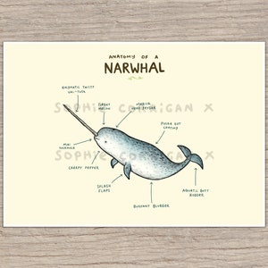Anatomy of a Narwhal Signed Art Print