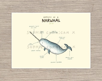 Anatomy of a Narwhal Signed Art Print