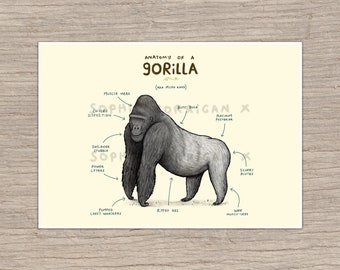 Anatomy of A Gorilla Signed Art Print