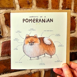 Anatomie eines Zwergspitz-Grußkarte – lustiger süßer Hund – wissenschaftliche anatomische Tierillustration – britisches weltweites Porto, Sophie Corrigan