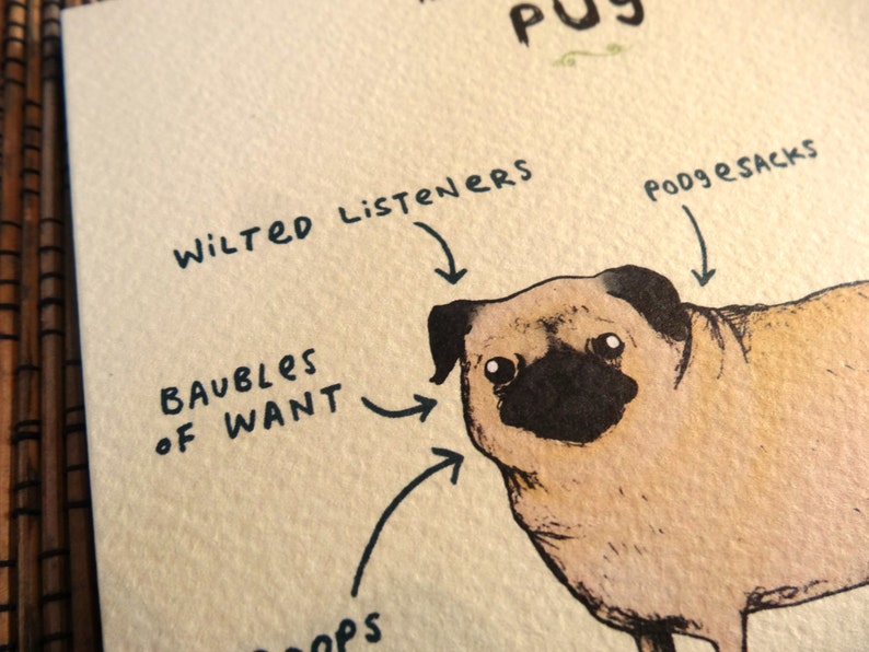 Anatomy Of A Pug Greeting Card Funny Cute Pugs Dog Scientific Anatomical Animal Illustration UK Worldwide Postage Sophie Corrigan image 3