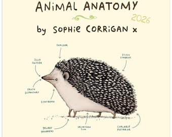 Animal Anatomy 2026 Cute Creatures 12 Month Wall Calendar