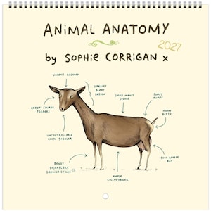 May include: A 2027 wall calendar titled Animal Anatomy by Sophie Corrigan featuring a brown goat illustration with humorous labels pointing to body parts like Creepy Square Peepers, Violent Bashcap, Screamy Bleat Region, and Pumpy Rumpy.