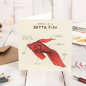 Carte Anatomie d'un poisson Betta