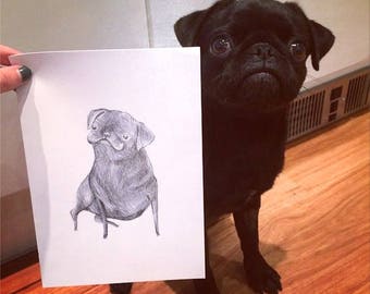 Pencil Pet Portrait - A5