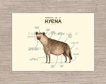 Anatomy of A Hyena Signed Art Print