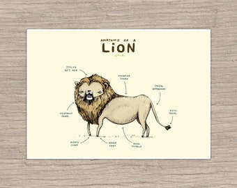 Anatomy of a Lion Signed Art Print