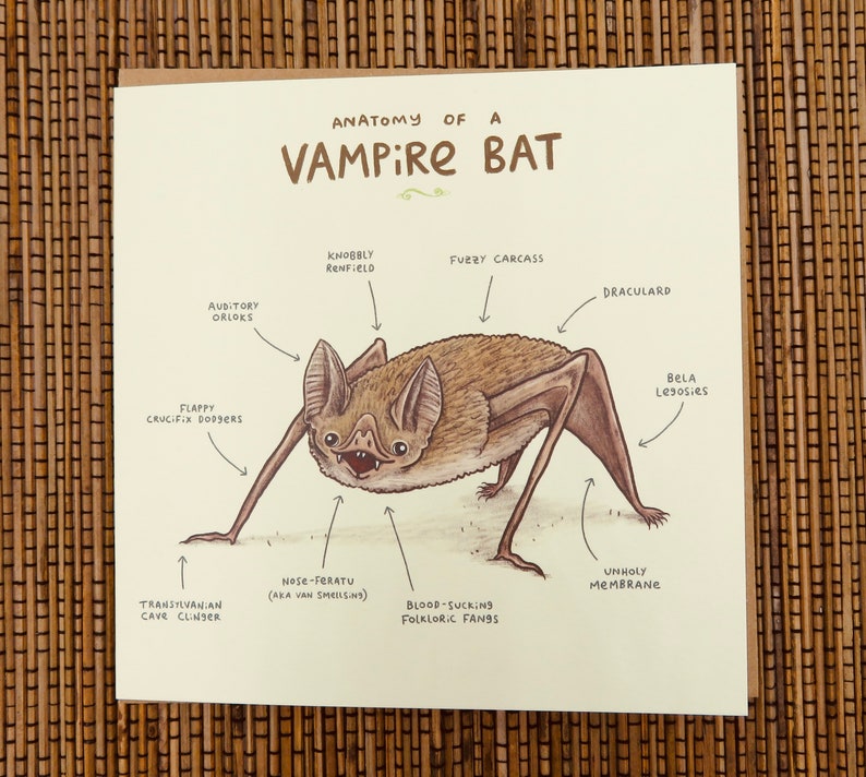 Anatomy Of A Vampire Bat Card Etsy