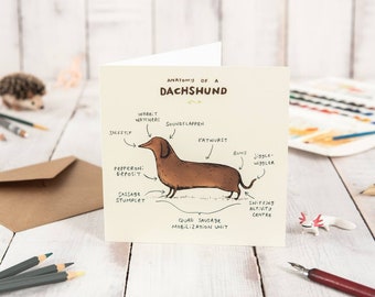 Anatomy Of A Dachshund Card