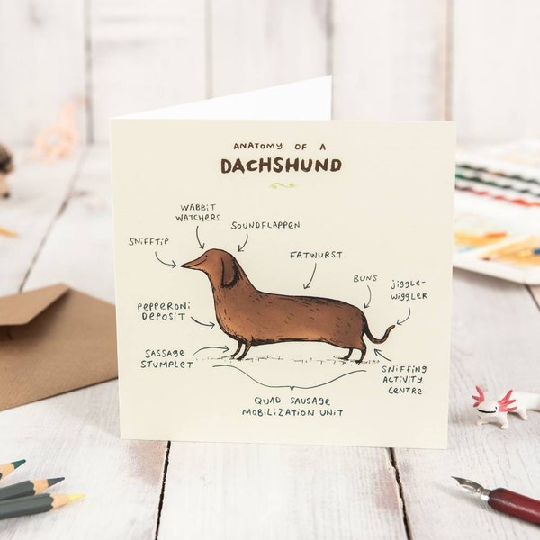 Anatomy Of A Dachshund Card