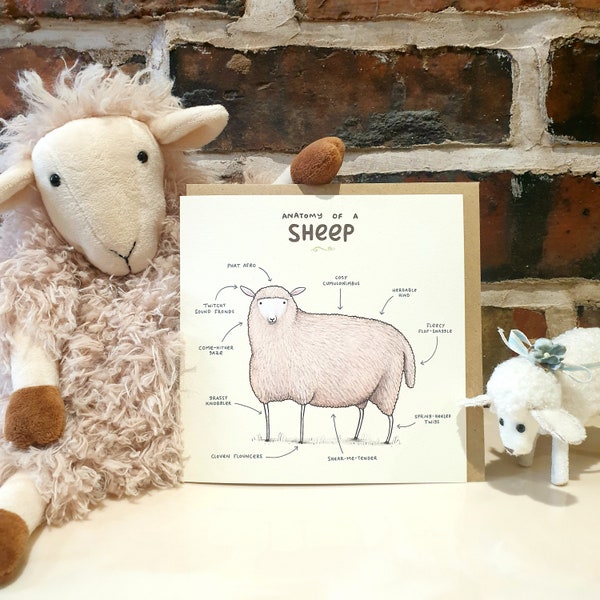 Anatomy of a Sheep Card