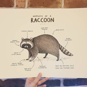 Anatomy of a Raccoon Signed Fine Art Print