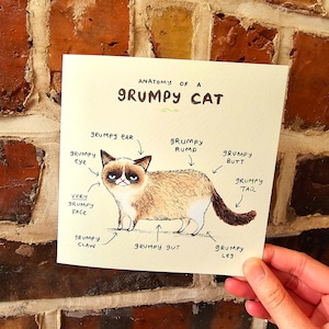 Puede incluir: Una tarjeta cuadrada con el texto "ANATOMY OF A GRUMPY CAT" y una ilustración de un gato con las partes del cuerpo etiquetadas. El gato es beige, marrón y blanco, con una expresión de mal humor. La tarjeta se sostiene contra una pared de ladrillos.
