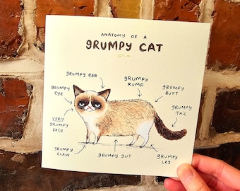 Anatomy Of A Grumpy Looking Cat Card