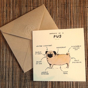 Anatomy Of A Pug Greeting Card Funny Cute Pugs Dog Scientific Anatomical Animal Illustration UK Worldwide Postage Sophie Corrigan image 4