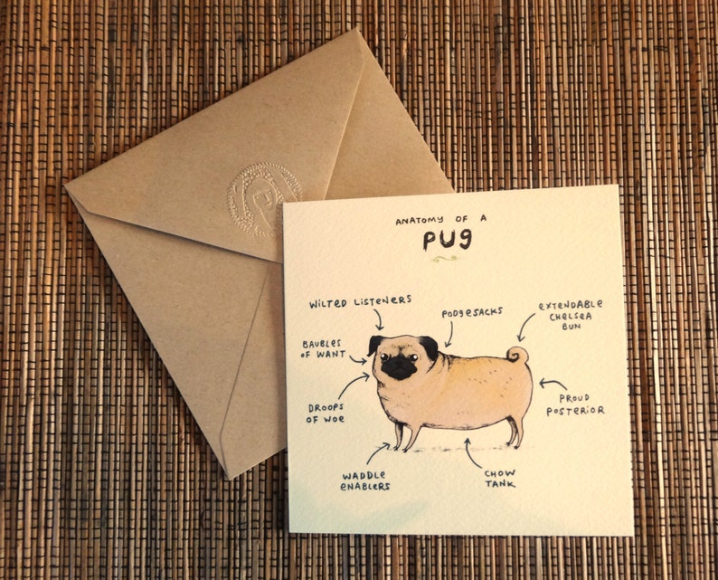 Anatomy Of A Pug Greeting Card Funny Cute Pugs Dog Scientific Anatomical Animal Illustration UK Worldwide Postage Sophie Corrigan image 4