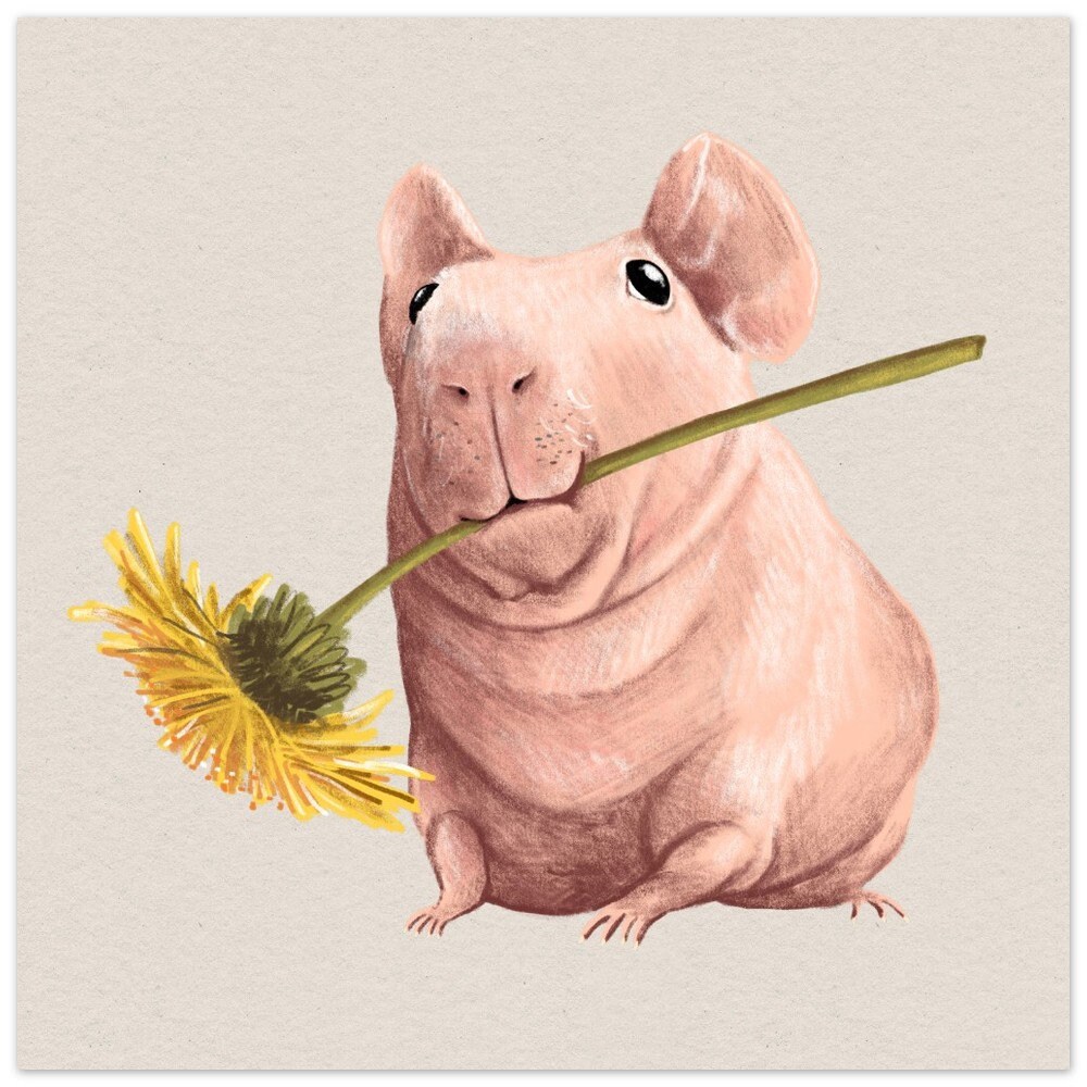 Naked Guinea Skinny Pig and Dandelion Premium Matte Paper Poster