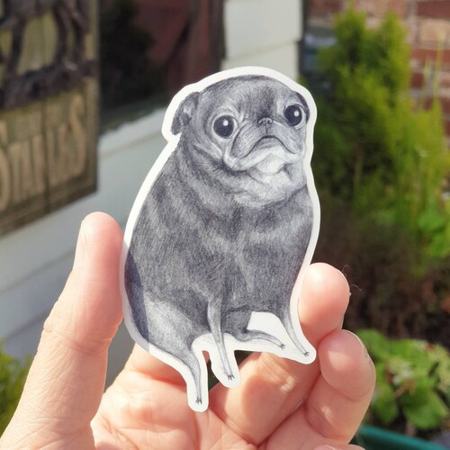 Black Pug Sticker Car Decoration Car Sticker Vinyl Decal Etsy