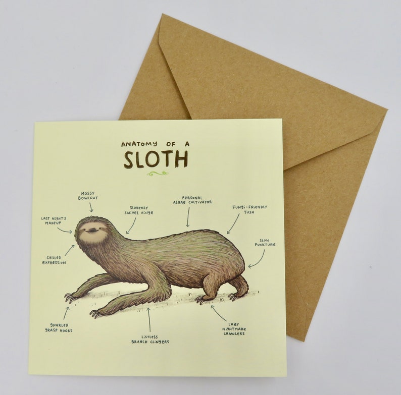 Anatomy Of A Sloth Card | Etsy