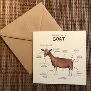 Anatomy Of A Goat Card image 3