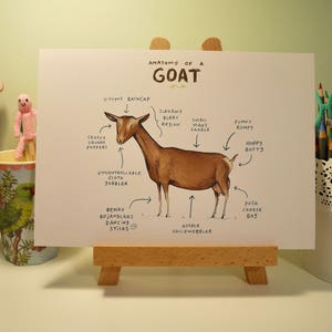 Anatomy Of A Goat A4 Signed Print