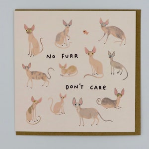 May include: A greeting card with a light pink background featuring a cartoon illustration of hairless cats. The text on the card reads "No Furr Don't Care".