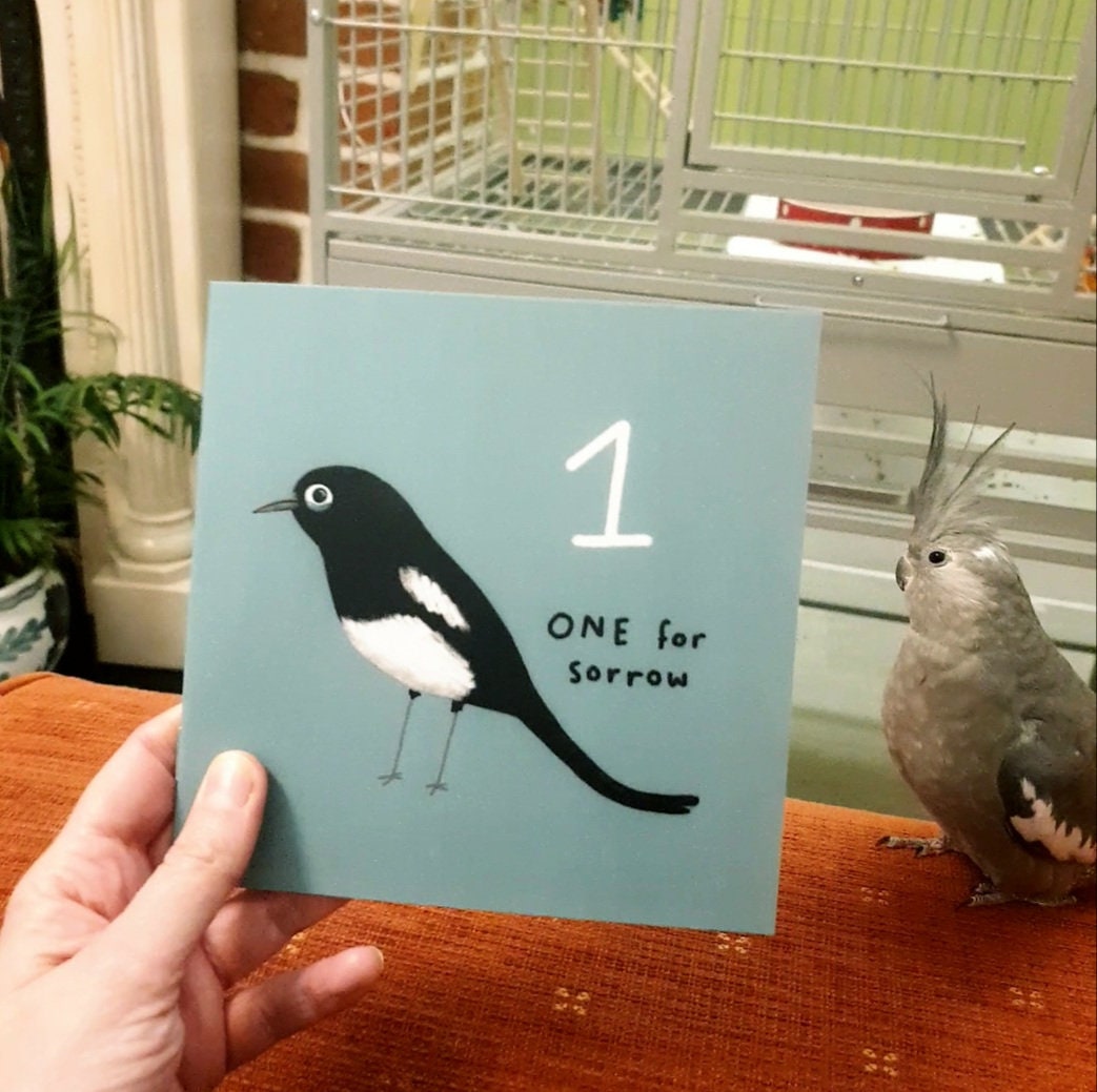 One for Sorrow Magpie Nursery Rhyme Mini Art Zine: Hand Signed