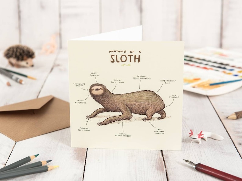 Anatomy of a Sloth Card - Etsy