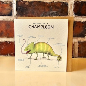 Anatomie Eines Chamäleons Grußkarte - Lustige niedliche wissenschaftliche anatomische Wildtier-Illustration - UK Weltweites Porto - Sophie Corrigan