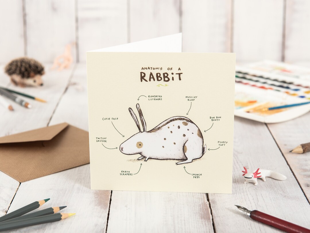Three Part Cards Rabbit Anatomy of A Rabbit Card - Etsy