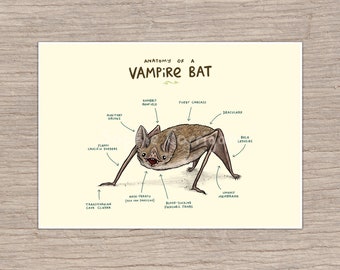 Anatomy of a Vampire Bat Signed Art Print