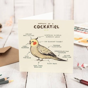 Anatomy Of A Cockatiel Card