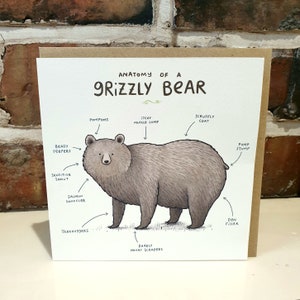 Tarjeta de anatomía de un oso grizzly