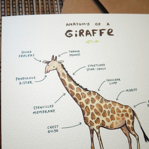 Carte Anatomie d’une girafe image 4