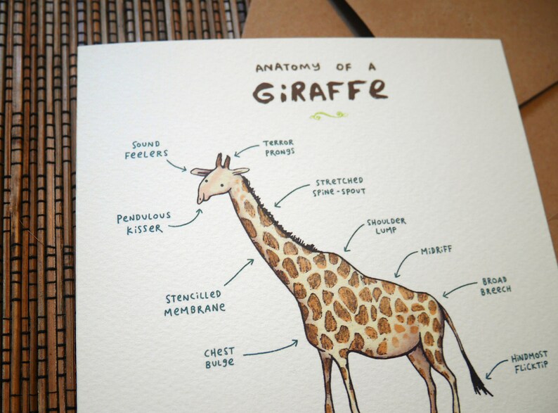 Carte Anatomie d’une girafe image 4
