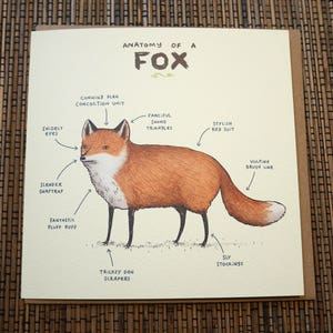 Anatomy Of A Fox Card zdjęcie 3