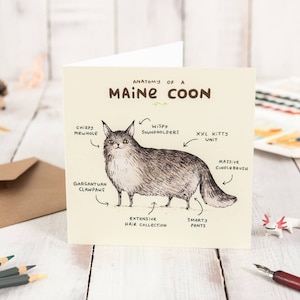 Anatomie van een Maine Coon-kaart